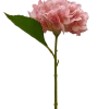 Dollarstore Dekoration>Hortensia