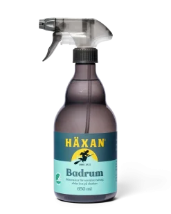 Dollarstore Rengöringsmedel>Häxan Badrum