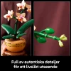 Dollarstore Lego® Botanical Collection>LEGO® Botanicals - Miniorkidé