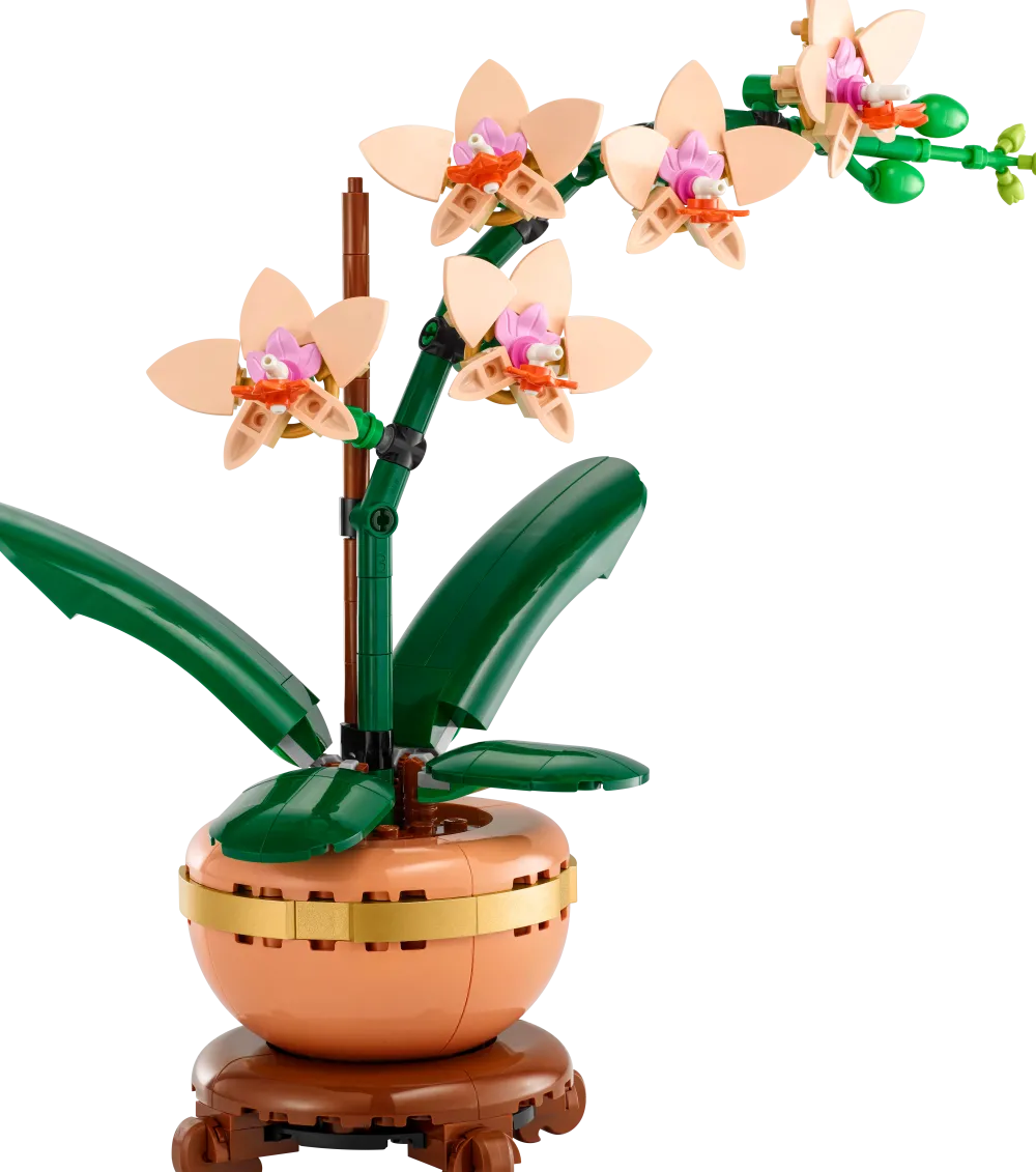 Dollarstore Lego® Botanical Collection>LEGO® Botanicals - Miniorkidé