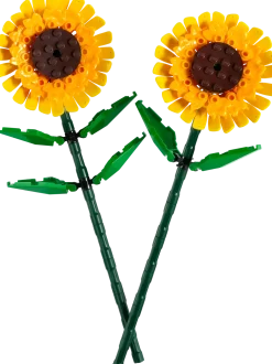 Dollarstore Lego® Botanical Collection>LEGO® Botanicals - Solrosor