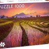 Dollarstore Spel & Pussel>Pussel Indonesiska Fält